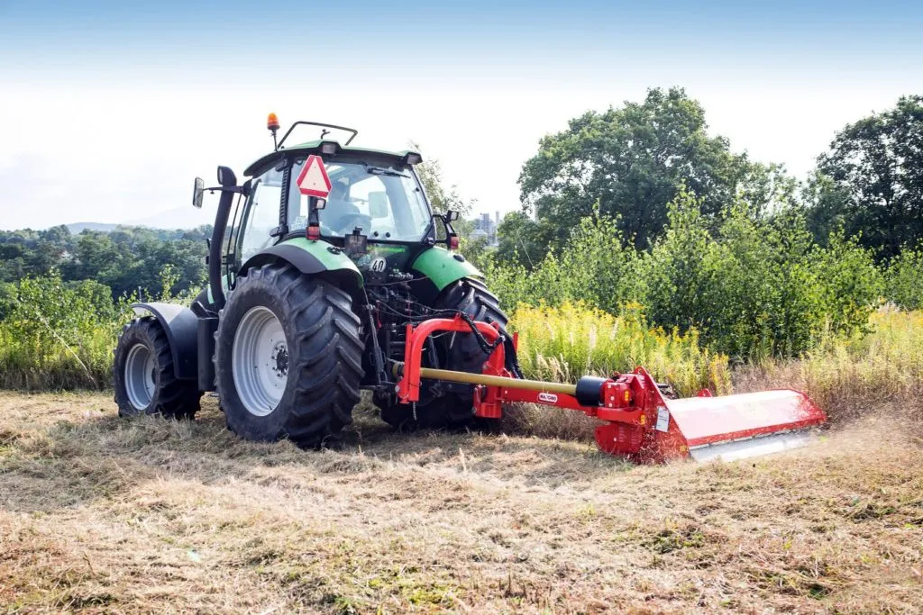 Zdjęcie Mulczowanie terenu co to znaczy i jak wpływa na jakość gleby