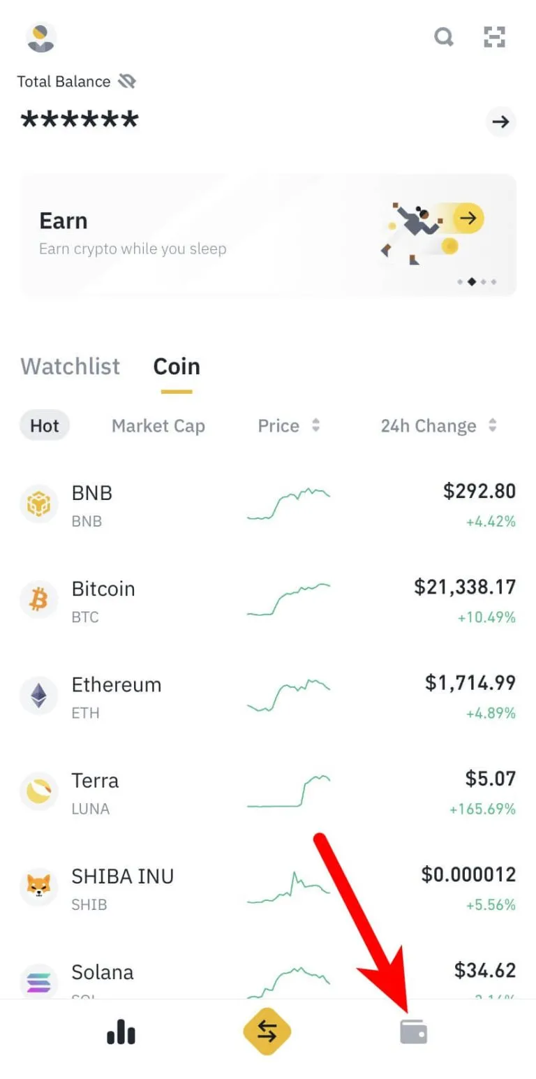 Zdjęcie Jak przelać z Trust Wallet na Binance bez zbędnych problemów?