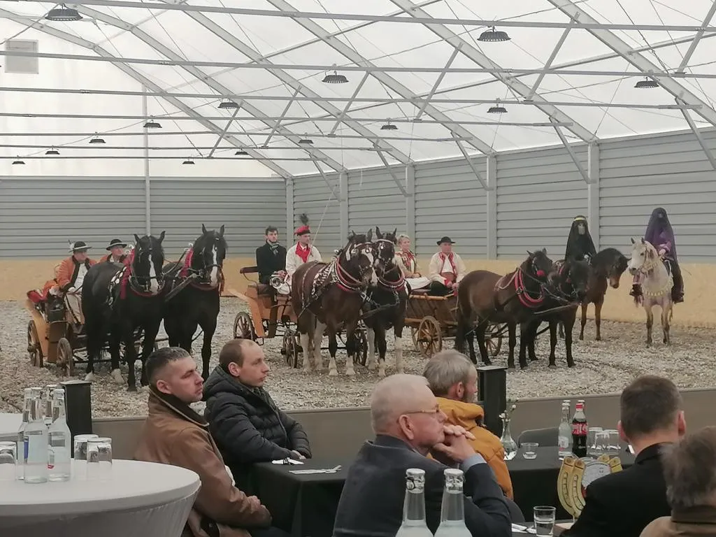 Zdjęcie Stadnina Koni Klikowa: Poznaj historię, hodowlę i wyjątkowe usługi