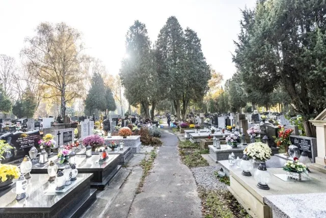 Zdjęcie Ile kosztuje miejsce na cmentarzu Batowice w Krakowie? Ceny grobów i opłaty