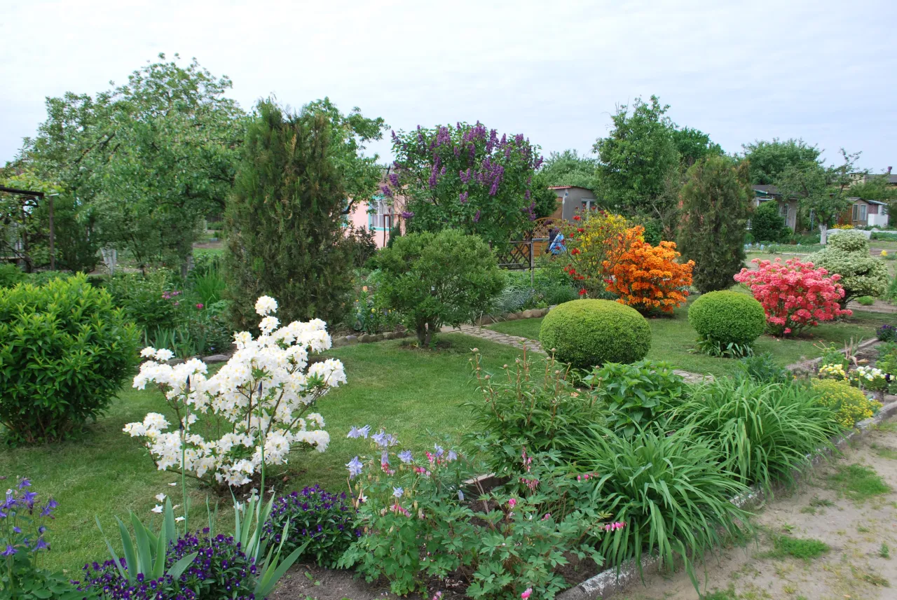 Zdjęcie Czy działka ROD wchodzi do majątku wspólnego? Sprawdź, co musisz wiedzieć