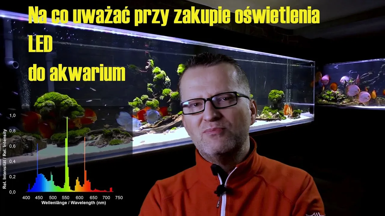 Zdjęcie Jakie oświetlenie do akwarium 112l - uniknij błędów i zapewnij roślinom idealne warunki