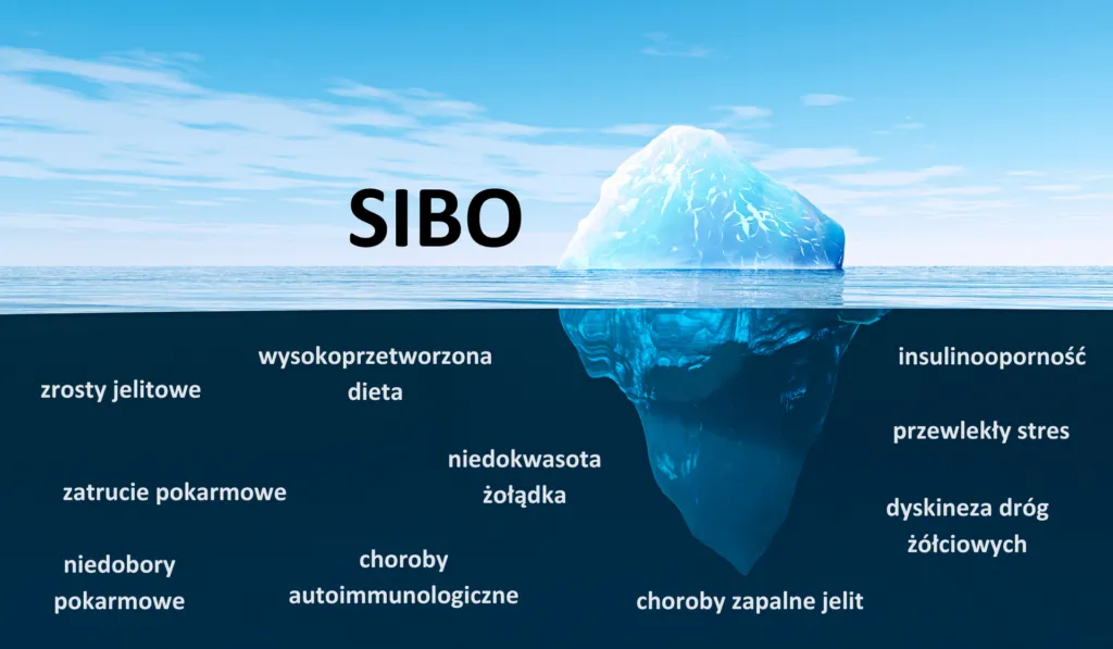 Zdjęcie SIBO objawy psychiczne: jak zaburzenia jelit wpływają na zdrowie emocjonalne