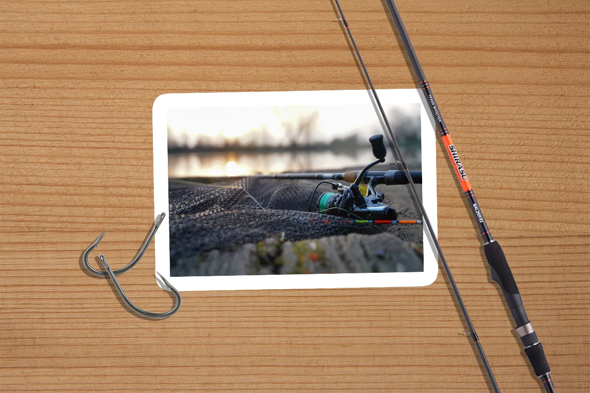 Zdjęcie Die richtige Angelschnur wählen: Tipps für jeden Angler und Zielfisch