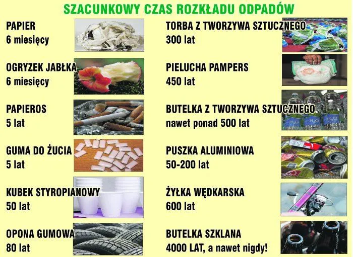 Zdjęcie Ile rozkładają się śmieci w naturze? Szokujące dane i fakty