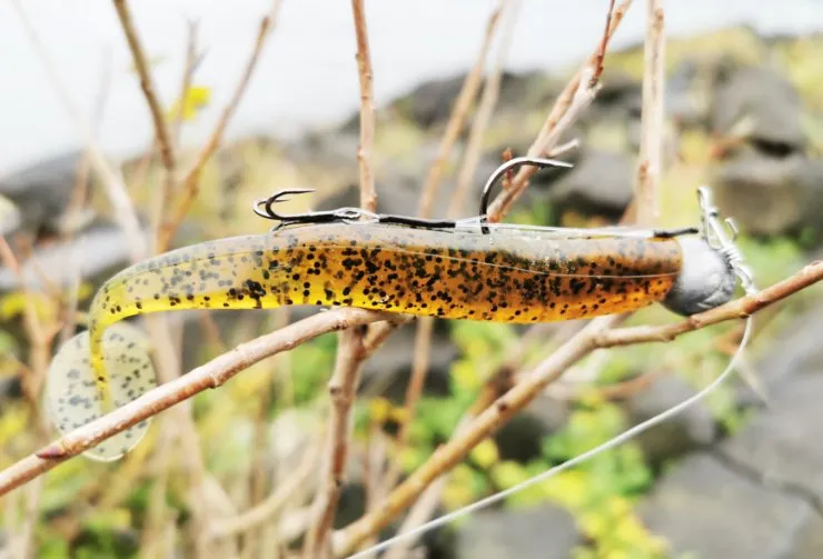 Zdjęcie Relax przynęty – historia, skuteczność i gdzie je kupić