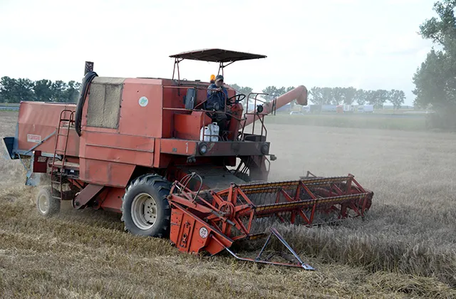 Zdjęcie  Kombajn Bizon Z056 - najlepszy kombajn pod słońcem? Zobacz dlaczego warto go kupić