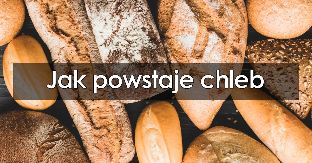 Zdjęcie Jak powstaje chleb film edukacyjny dla dzieci – odkryj fascynujący proces