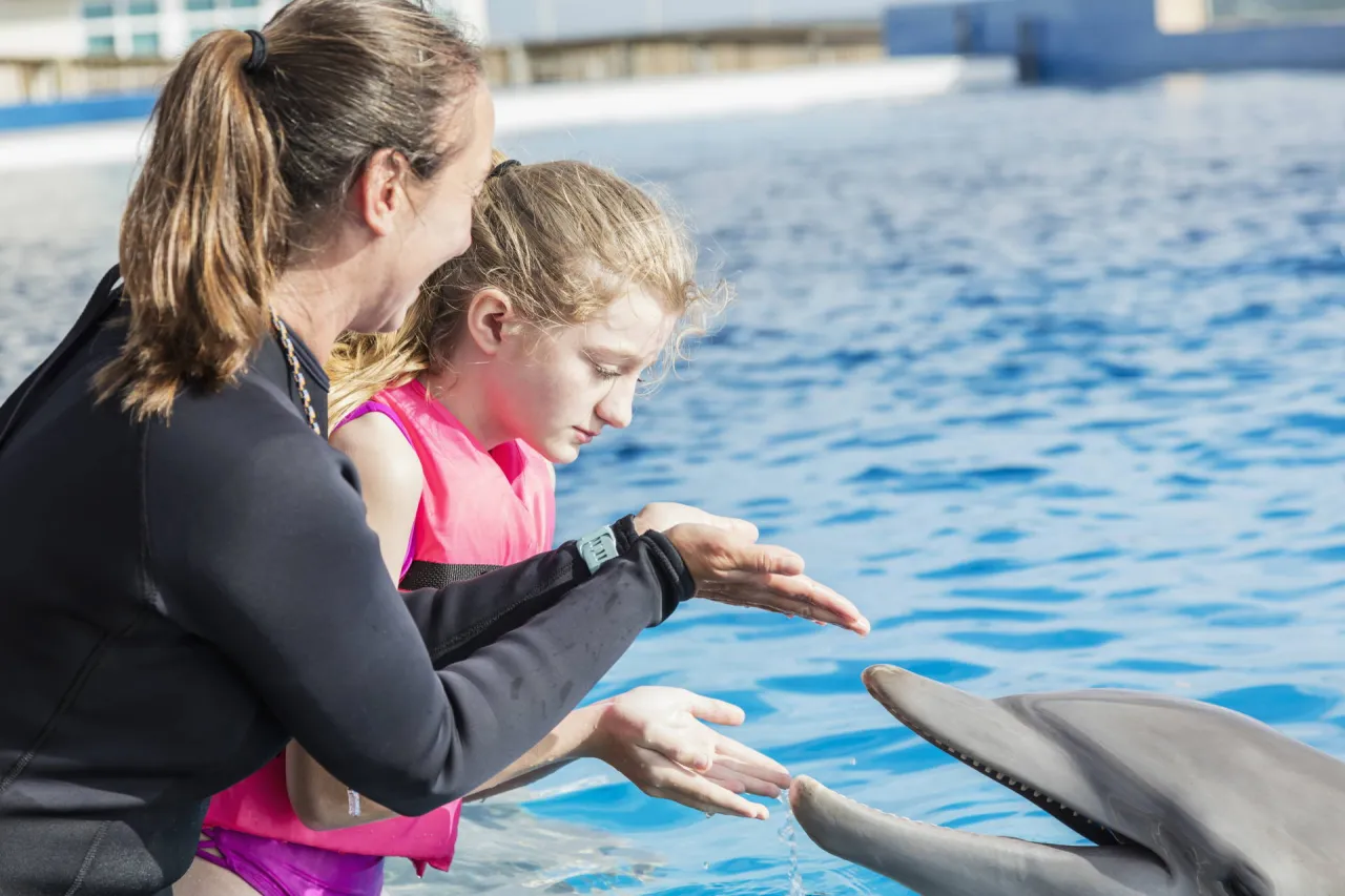 Zdjęcie Ile kosztuje pływanie z delfinami? Sprawdź ceny w popularnych miejscach