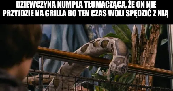 Zdjęcie To nasza wspólna decyzja mem - poznaj jego znaczenie i zastosowania