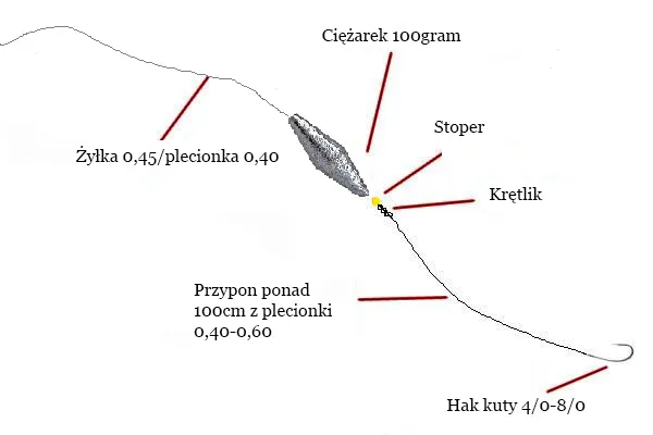 Zdjęcie Jaka plecionka na suma z gruntu? Kluczowe wskazówki i porady