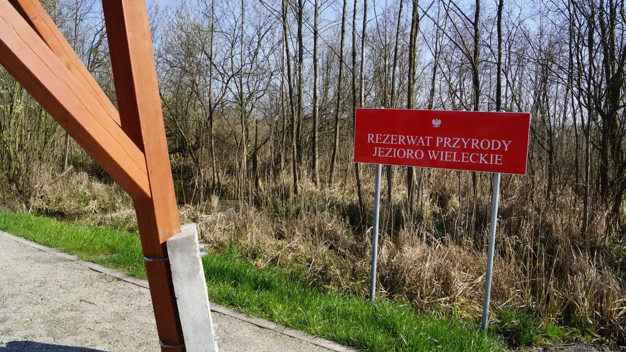 Zdjęcie Jezioro Wieleckie: Ochrona rzadkich ptaków i atrakcje przyrody