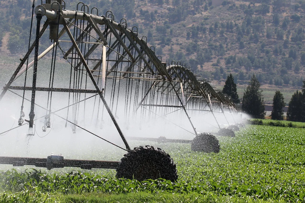 Zdjęcie Repartir el agua para el riego: estrategias para evitar la escasez