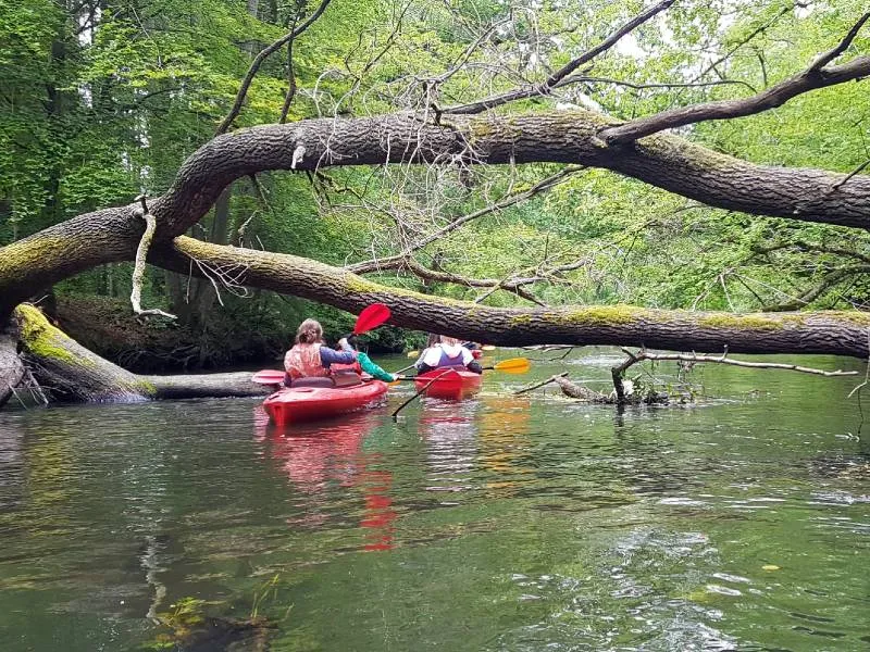 Zdjęcie Kajakarstwo Szczecin - najlepsze trasy i wypożyczalnie kajaków