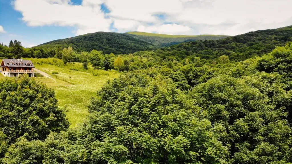 Zdjęcie Wino z Bieszczad - Smak, tradycja i niepowtarzalny klimat regionu