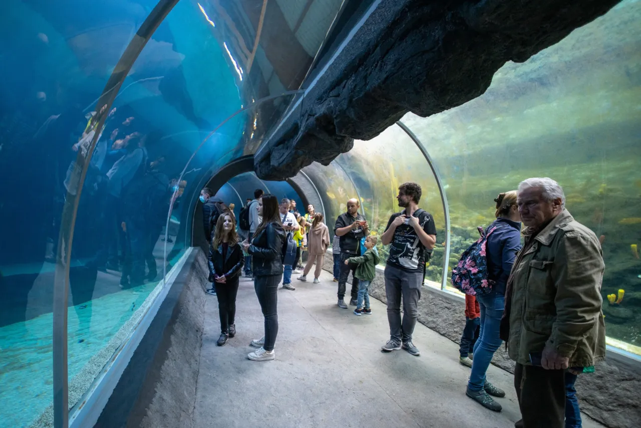Zdjęcie Ile kosztuje bilet do oceanarium w Kołobrzegu? Ceny i zniżki