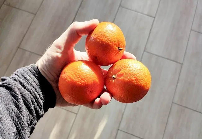 Zdjęcie Ile kcal ma mandarynka? Poznaj prawdziwą wartość kaloryczną tego owocu