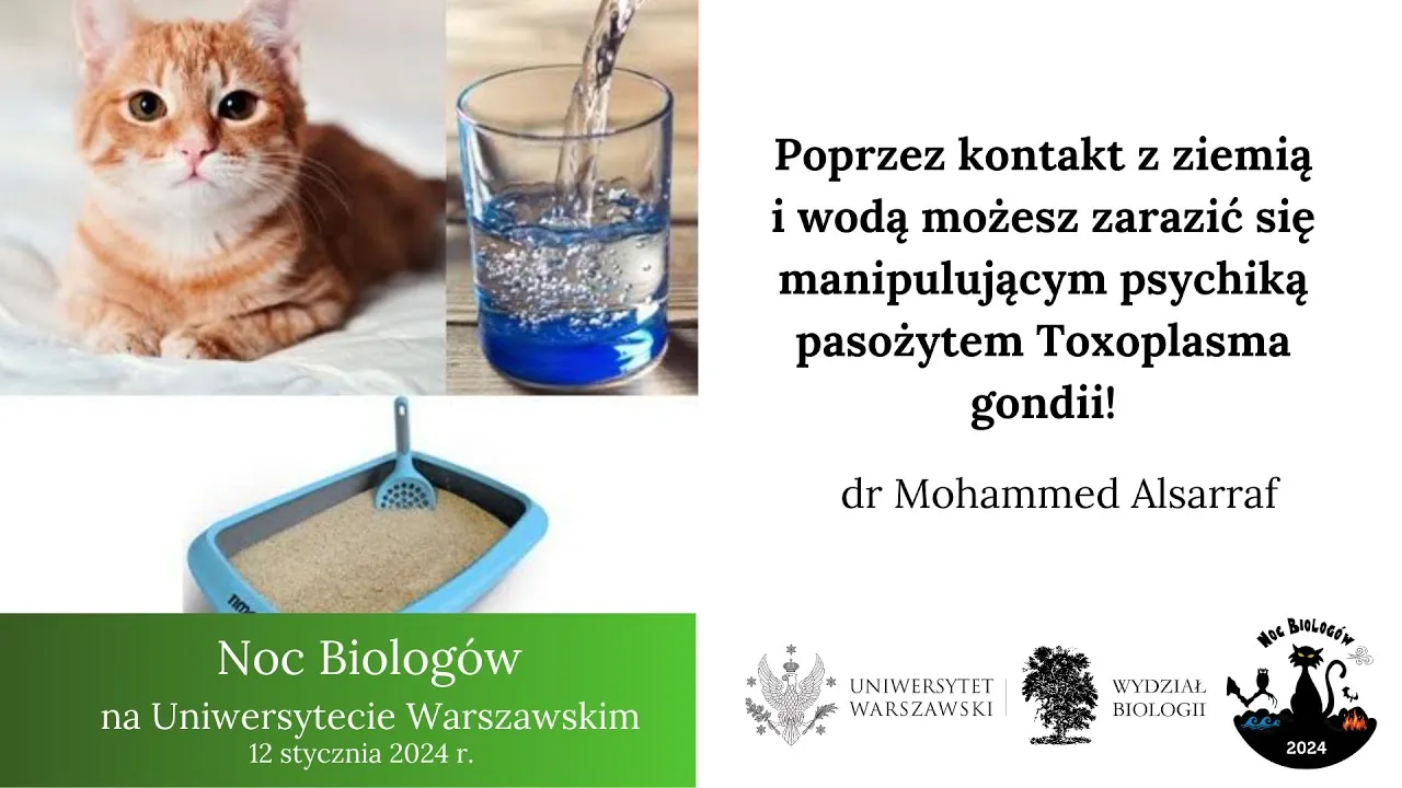 Zdjęcie Toksoplazmoza a psychika: jak pasożyt wpływa na m&oacute;zg?