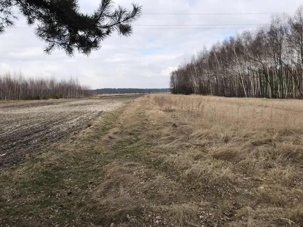 Zdjęcie Rozalin 336: Atrakcyjna działka w gminie Nowa Dęba - analiza