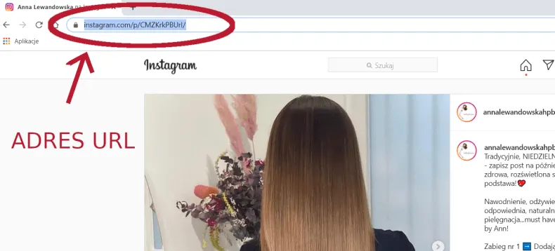 Zdjęcie Jak pobrać profilowe z Instagrama w kilku prostych krokach i bezpiecznie