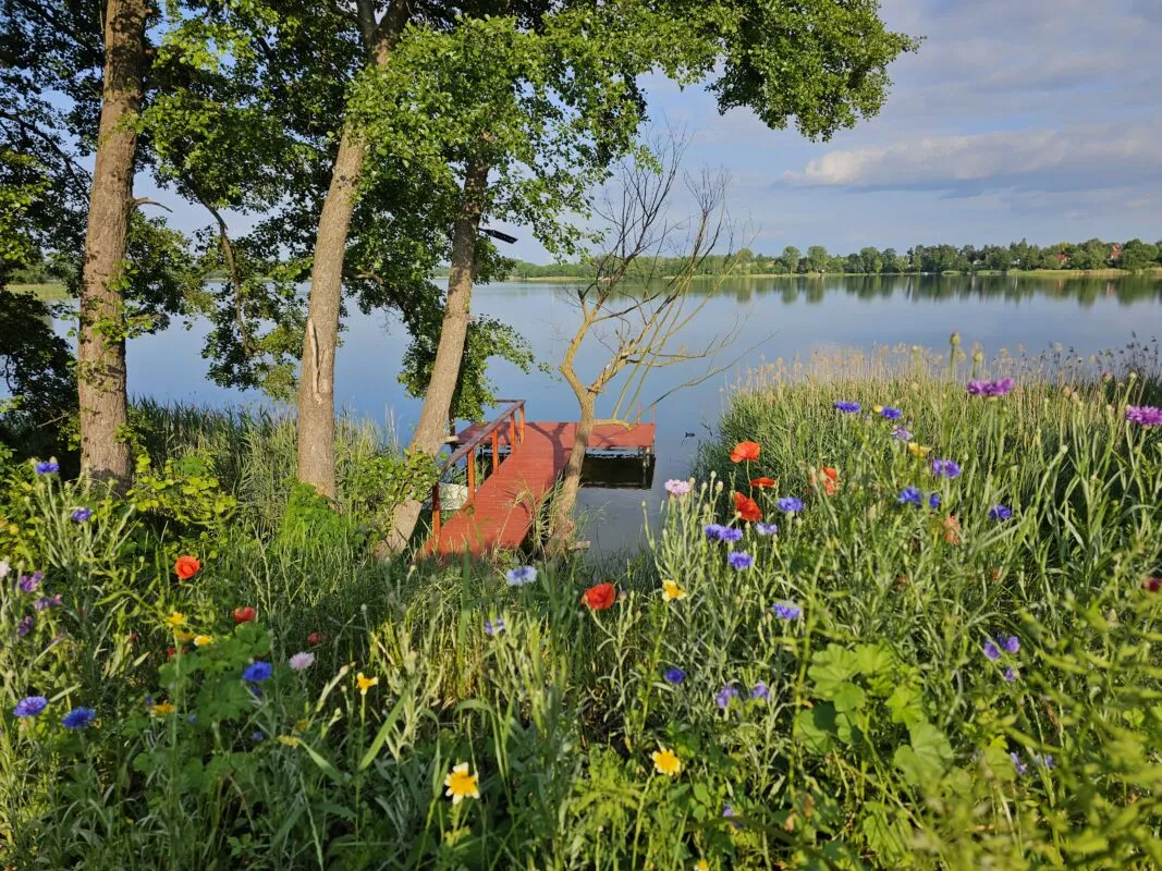 Zdjęcie Jezioro Głuszyńskie: piękne miejsce na wędkowanie i wypoczynek