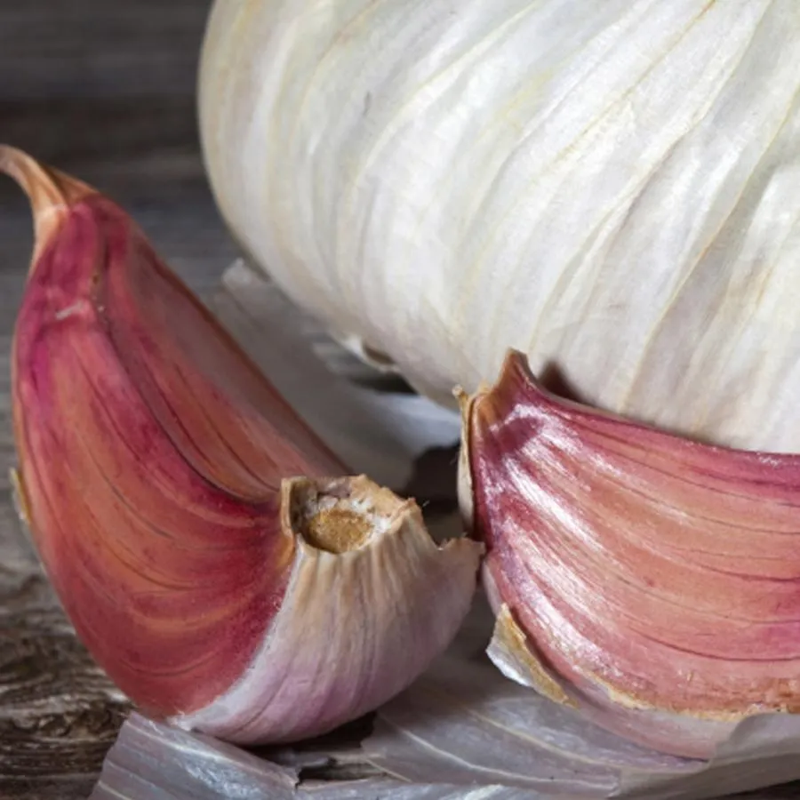 Zdjęcie Recette facile de salade de pâtes italienne délicieuse et rafraîchissante