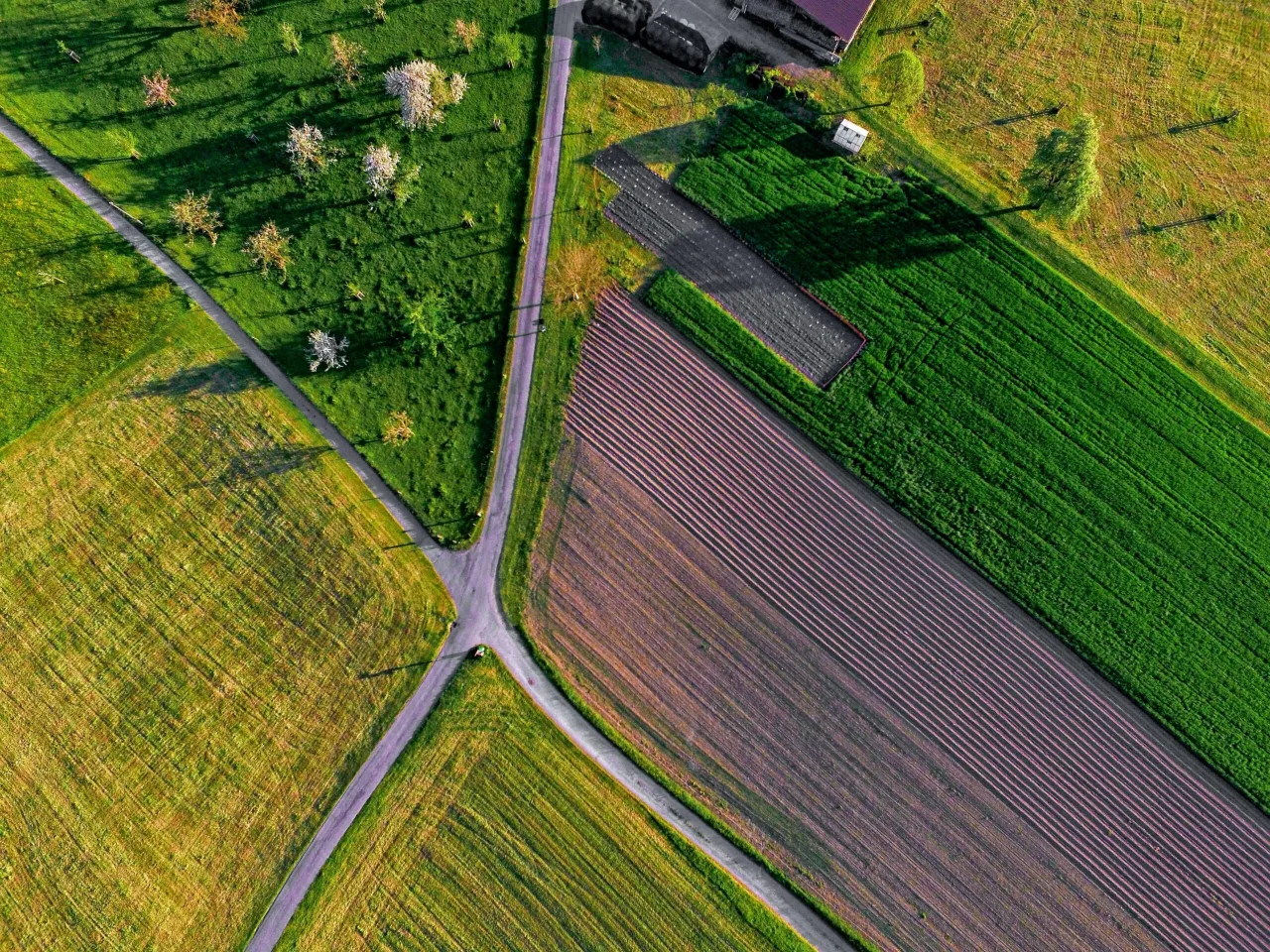 Zdjęcie Jak sprawdzić wymiary działki na geoportalu w prosty sposób
