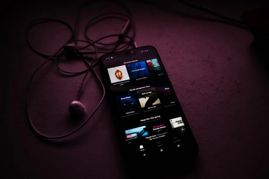 Zdjęcie Jak pobrać muzykę na Spotify na telefon i cieszyć się offline