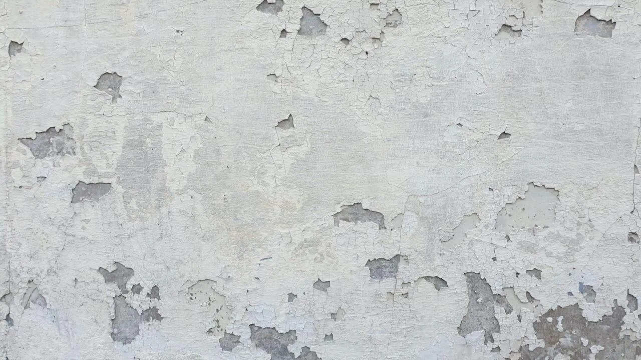 Zdjęcie Jak zabezpieczyć tynk przed wilgocią i uniknąć kosztownych napraw