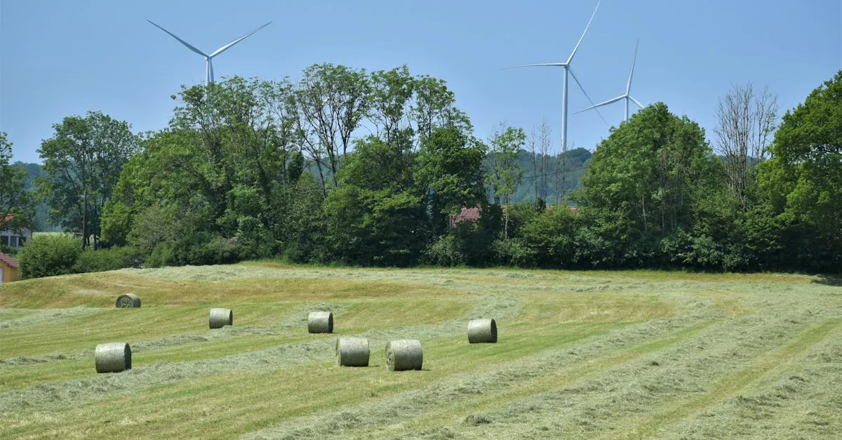 Zdjęcie Czy filmy o klimacie zmieniają nasze podejście do energii?