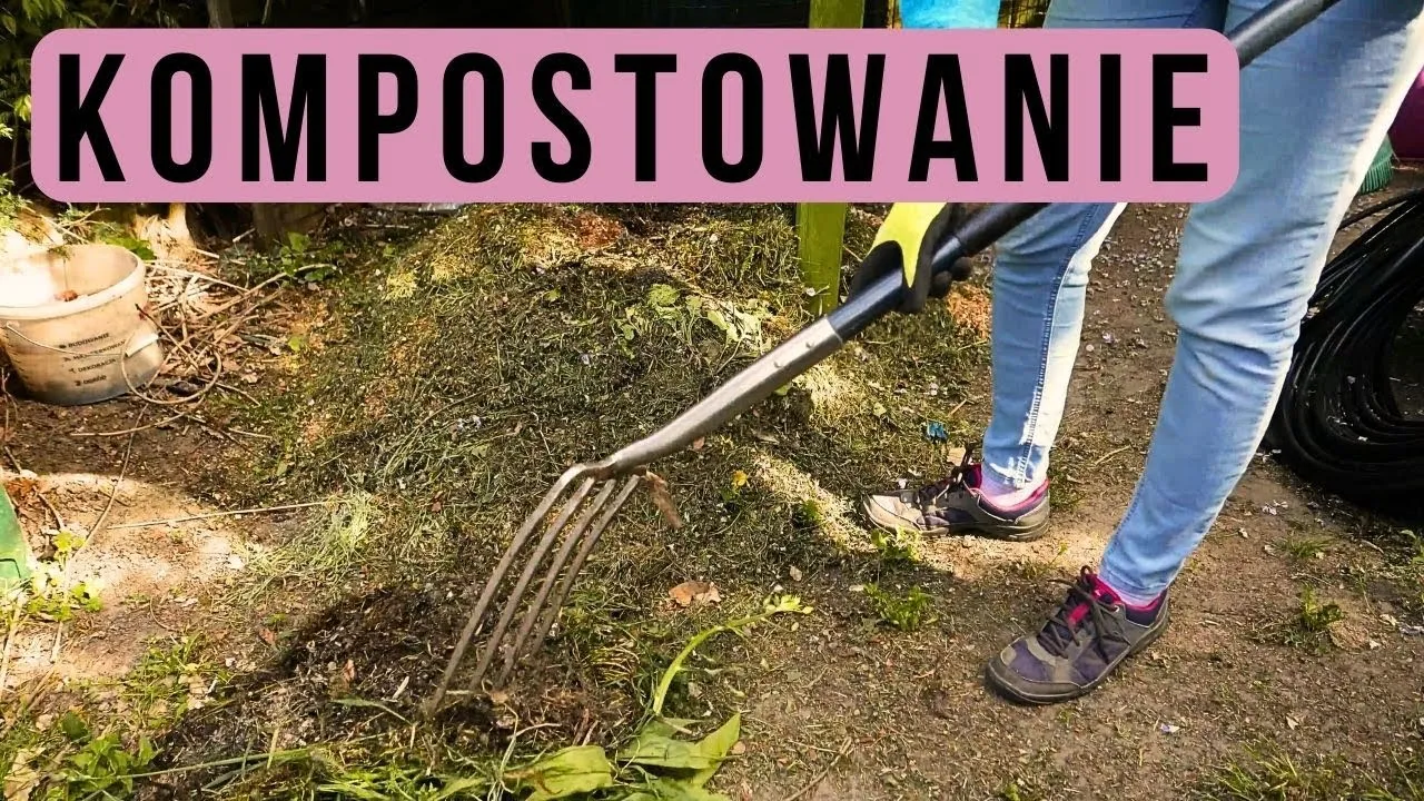 Zdjęcie Jak zrobić kwaśny kompost, aby rośliny kwasolubne były zdrowe i silne