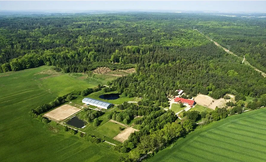 Zdjęcie Stadnina koni Kaszuby - najlepsze miejsca na jazdę konną i relaks
