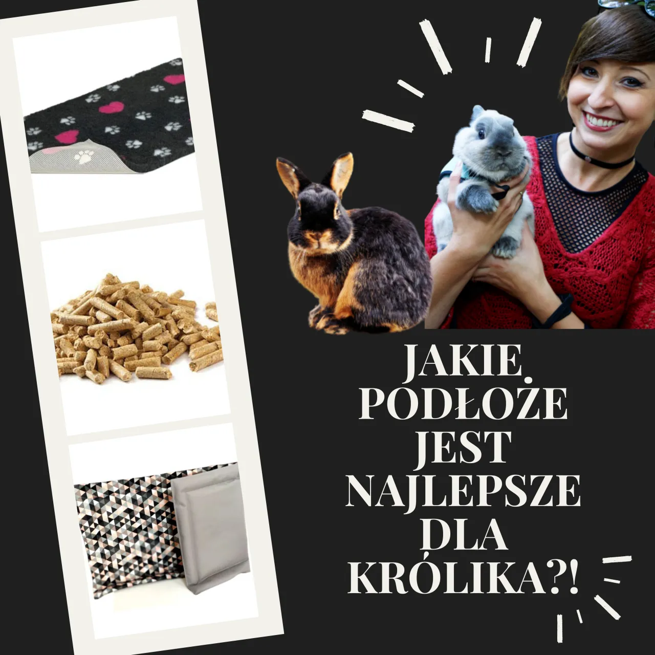 Zdjęcie Najlepsze materiały do kuwety dla królika – unikaj niebezpiecznych opcji