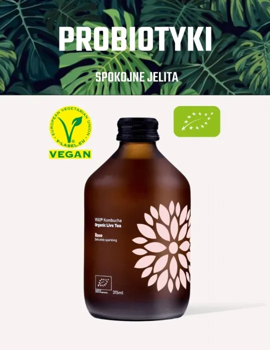 Zdjęcie Gdzie kupić grzybek kombucha? Sprawdzone miejsca i najlepsze oferty