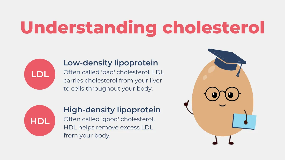 Zdjęcie Czy cholesterol jest szkodliwy dla zdrowia? Prawda o jego wpływie