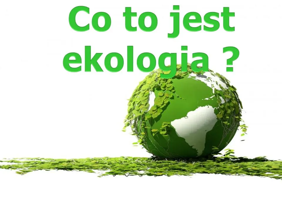 Zdjęcie Jak przygotować prezentację o ekologii: przykładowy plan i wskazówki