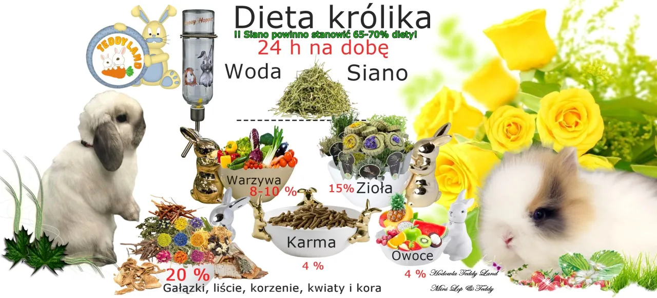 Zdjęcie Jak karmić króliki: kluczowe zasady dla zdrowej diety królików