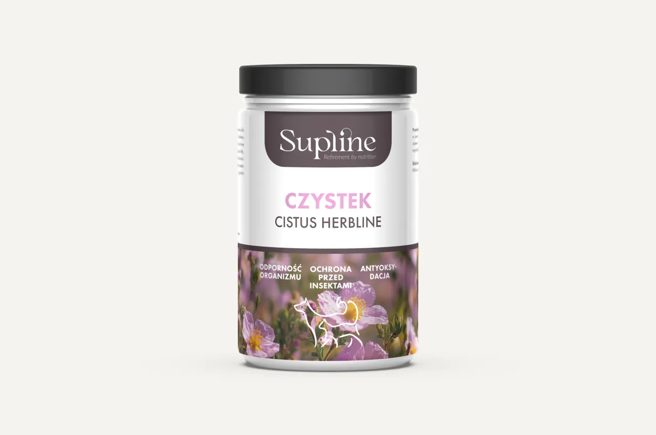 Zdjęcie Czystek dla psa: skuteczność, dawkowanie i opinie weterynarzy