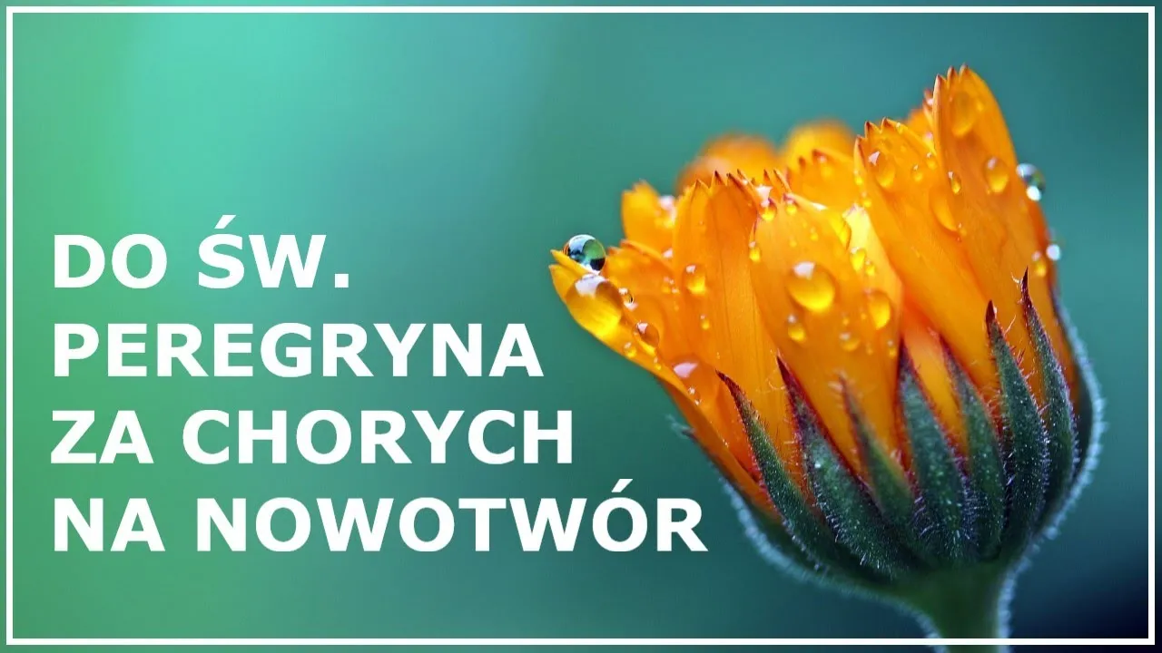 Zdjęcie Modlitwa do świętego, który uzdrawia z raka – jak prosić o pomoc?