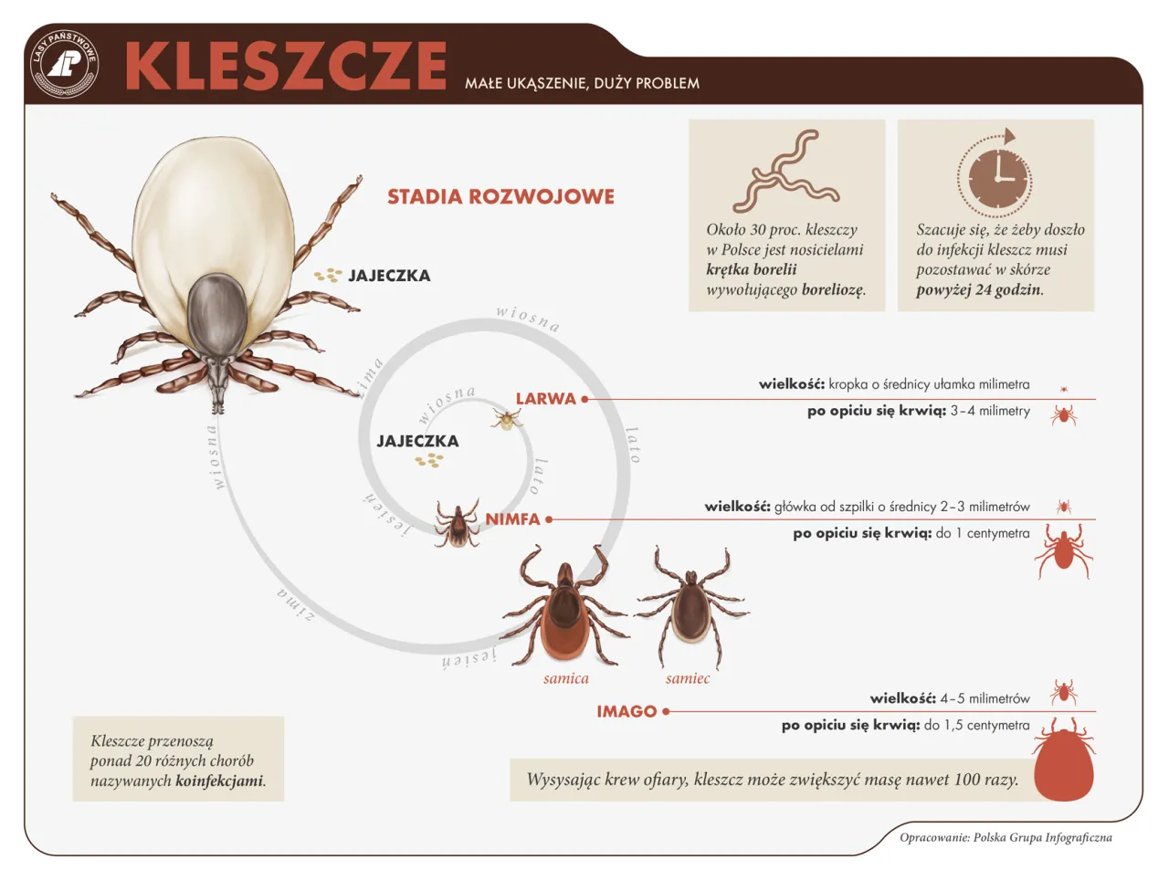 Zdjęcie Jaką krew lubią kleszcze i jak się przed nimi chronić?