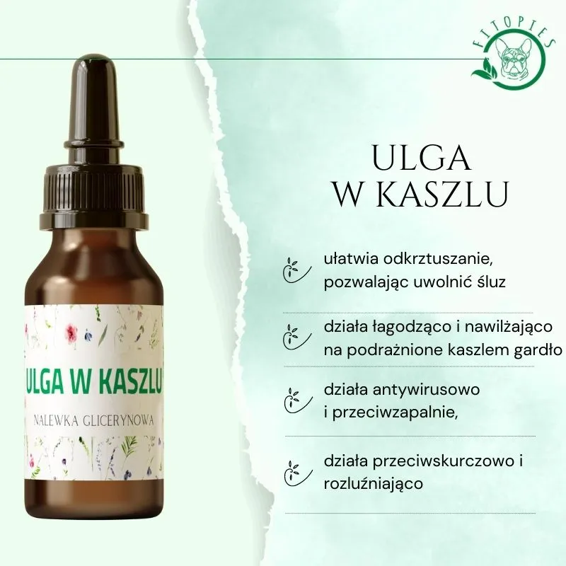 Zdjęcie Najlepszy syrop na kaszel dla psa - ulga w kaszlu i zdrowie pupila
