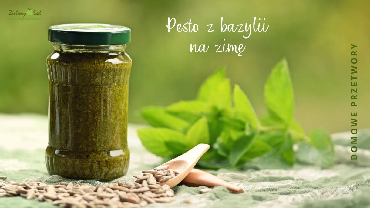 Zdjęcie Jak zrobić bazylię na zimę - skuteczne metody na długotrwałe przechowanie