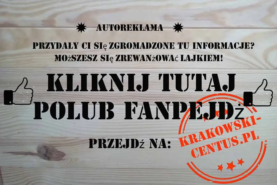 Zdjęcie Ile można zarobić w Glovo? Realne zarobki kurierów w Polsce