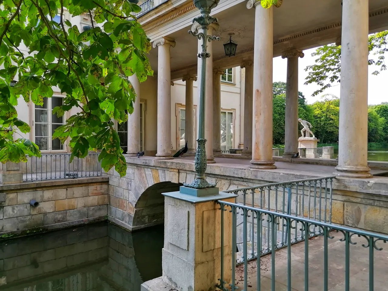 Zdjęcie Łazienki Królewskie: Gdzie zjeść? Polecane restauracje i kawiarnie