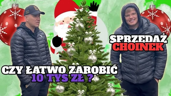 Zdjęcie Ile można zarobić na sprzedaży choinek? Sprawdź, co wpływa na zyski