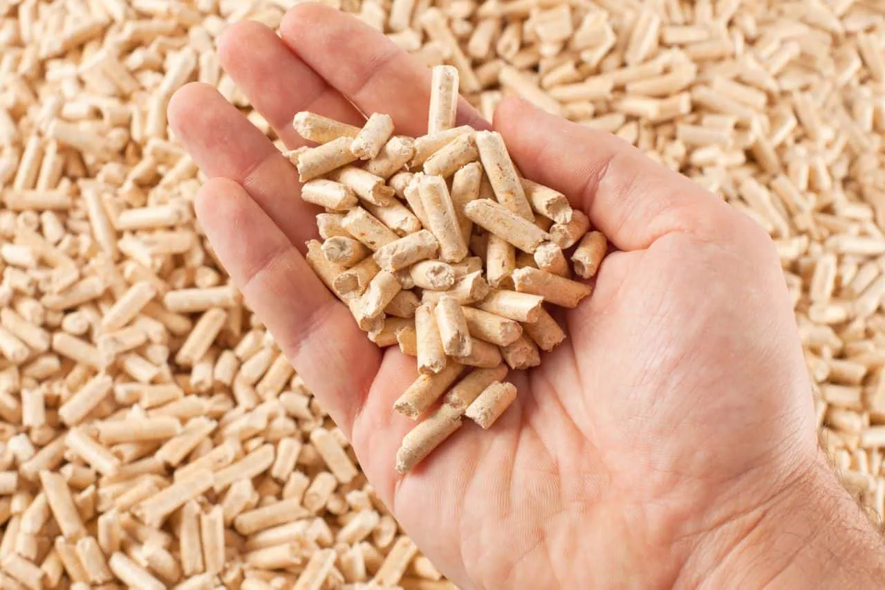Zdjęcie Ile kosztuje pellet? Sprawdź ceny i uniknij niepotrzebnych wydatków