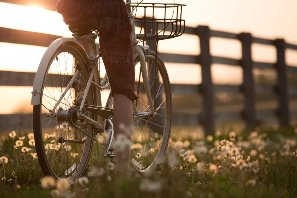 Zdjęcie Najładniejsze trasy rowerowe w Polsce, które zachwycą każdego cyklistę