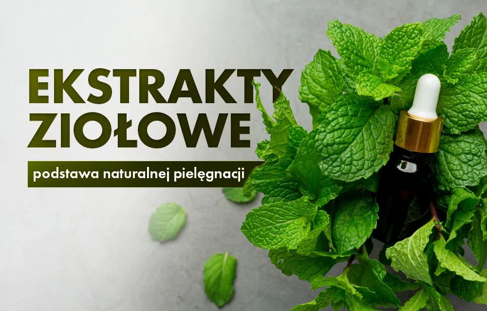 Zdjęcie Jak zrobić ekstrakt roślinny – proste metody i skuteczne przepisy
