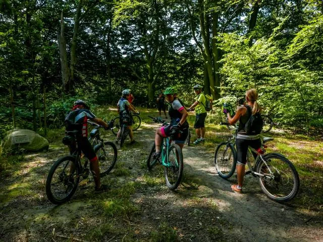 Zdjęcie Jezioro Straszyńskie - historia, atrakcje i piękne trasy rowerowe