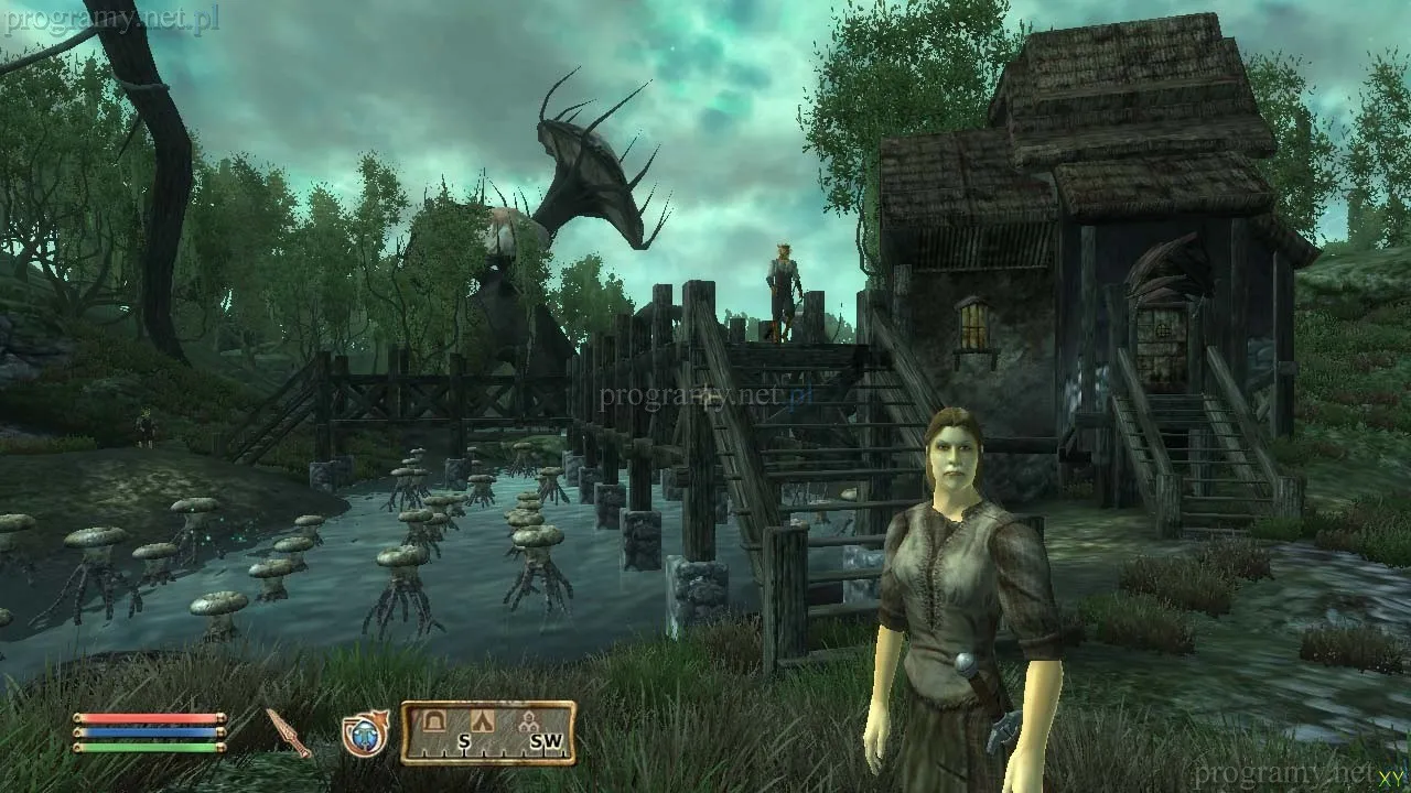 Zdjęcie Jak zainstalować spolszczenie Oblivion na Steam: kompletny poradnik gracza